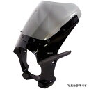 ワールドウォーク 汎用ビキニカウル AERO ヘビーグレイメタリック/スモーク ds-01aero-40 HD店