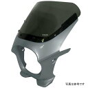 ワールドウォーク 汎用ビキニカウル AERO マグナムシルバーメタリック/スモーク ds-01aero-44 HD店