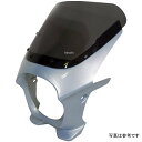 ワールドウォーク 汎用ビキニカウル AERO ロビックスブルーメタリック/スモーク ds-01aero-47 HD店