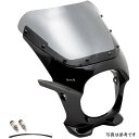 ワールドウォーク 汎用ビキニカウル AERO キャンディーアンタレスレッド/スモーク ds-01aero-50 HD店