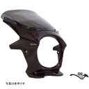 ワールドウォーク ビキニカウルR Z900RS キャンディートーンブラウン/クリア ds-06r-1c HD店