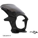 ワールドウォーク ビキニカウルR Z900RS メタリックスパークブラック/クリア ds-06r-2c HD店