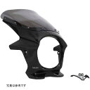 ワールドウォーク ビキニカウル AERO Z900RS メタリックディアブロブラック/クリア ds-06aero-4c HD店
