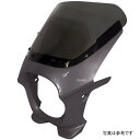 ワールドウォーク 汎用ビキニカウルR チタニウムメタリック/クリア ds-01r-32 HD店