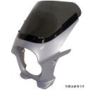 ワールドウォーク 汎用ビキニカウルR デジタルシルバーメタリック/クリア ds-01r-45 HD店