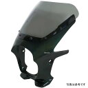 ワールドウォーク 汎用ビキニカウルR ルミナスウィンザーグリーン/クリア ds-01r-6 HD店