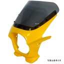 ワールドウォーク 汎用ビキニカウルR パールシャイニングイエロー/クリア ds-01r-h3 HD店