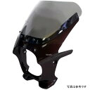 ワールドウォーク 汎用ビキニカウルR キャンディダイヤモンドブラウン/クリア ds-01r-k12 HD店