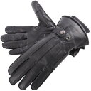 【メーカー在庫あり】 デグナー DEGNER レザー ウィンターグローブ 黒 Sサイズ WG-34 HD店(2)