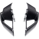 ワンダーリッヒ Wunderlich カーボンウイングレット 19年以降 BMW S1000RR W20218-000 HD店