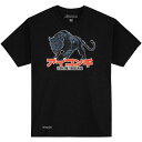 アイコン ICON 2023年秋冬モデル Tシャツ HIGH SPEED CAT 黒 Sサイズ 3030-23472 HD店