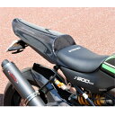 ストライカー STRIKER エアロデザイン SAD シングルシートカウル&シートセット ストリート Z900RS カーボン SAD-SSC141C-ST HD...