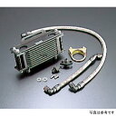 ACTIVE アクティブ オイルクーラーキット (縦) ストレート #6 9-7R 00年以前 SR500、09年以前 SR400 ブラック仕様 AC14054207B HD店(2)