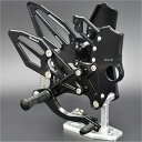 ウッドストック WOODSTOCK バックステップキット Z H2、Z H2 SE 黒 WBS-K44-BB HD店(2)