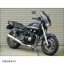 シックデザイン ガイラシールド Mサイズ スモーク ZEPHYR/ZEPHYR X GS06 HD店