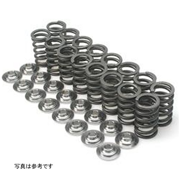 【USA在庫あり】 Brian Crower ニッサン SR20VE Dual Spring & Titanium リテーナーキット brcBC0240 HD店