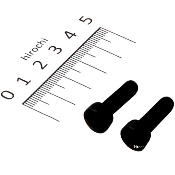 【メーカー在庫あり】 エスコ ESCO M 6x 20mm[高強度・高張力]六角穴付ボルト(2本 E