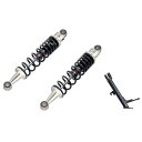 エフェックス EFFEX ローダウンCOMPキット 約20mmダウン 23年 CL250 シルバー/黒 PHA0055D-SK-SET HD店
