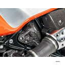 ワンダーリッヒ Wunderlich カーボン タンクベントカバー カーボン W41213-000 HD店