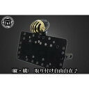 ガレージT&F サイドナンバーキット&アンティークバードゲージテールランプ(真鍮)+ステー シャドウ400 型式NC34 SN0649 HD店