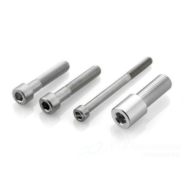 リゾマ rizoma PROGURAD SYSTEM / バーエンドミラー アダプタ 11年-15年 C600 Sport ブラック LP323B HD店