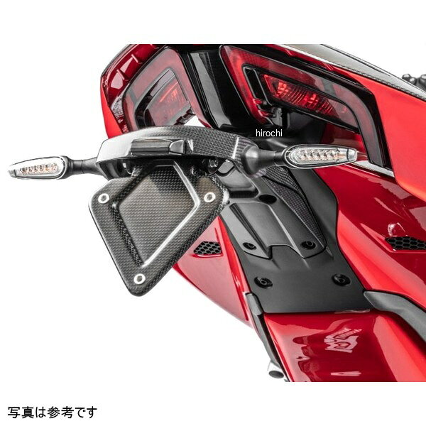 イルムバーガー Ilmberger ナンバープレートホルダー カーボンマット 艶なし 25年 Panigare V4R CM.NHO.009.V4P24-PanigareV4R HD店