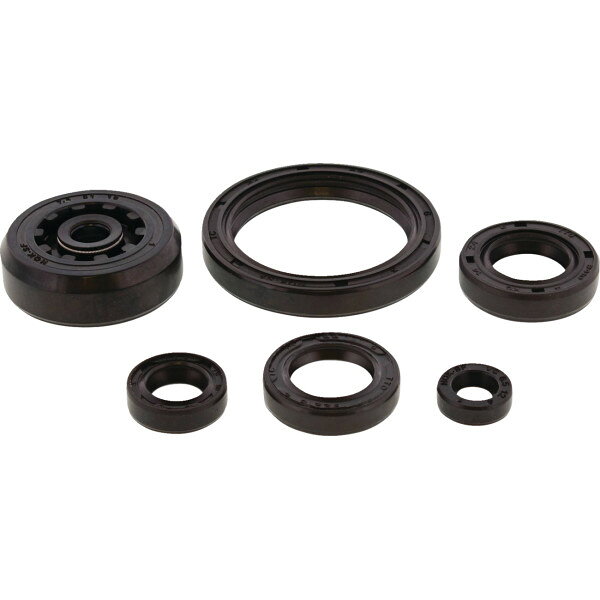  MOOSE OFFROAD ENGINE OIL SEAL KIT 0935-1354 HD店