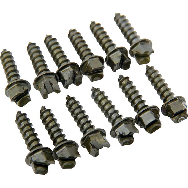 Rakuten - 【USA在庫あり】 ゴールドスクリュー Gold Screws アイススクリュー 粗ネジ 5/8インチ Pro-ゴールド (250個入り) 1250-0299 HD店