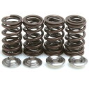 【USA在庫あり】 キブルホワイト Kibblewhite バルブ スプリング キット 99年-00年 ホンダ TRX400EX FourTrax KW-30-...