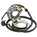 【USA在庫あり】 Rick's Motorsport Electrics ステーターコイルアッシー 94年-95年 ポラリス 2x4 400L 1個売り 21...