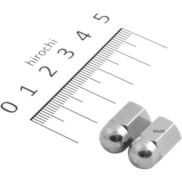 【USA在庫あり】 バーネット Barnett バルブ ステム キャップ クローム 2個入り DS-181195 HD店