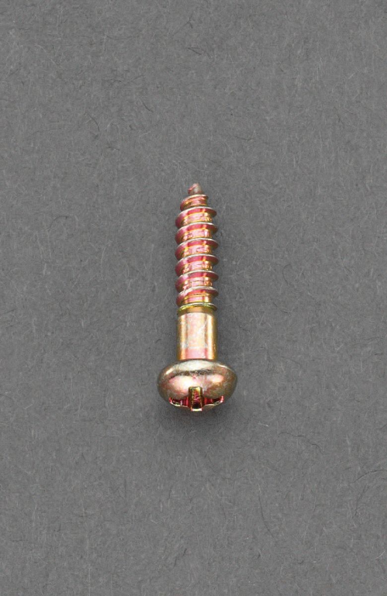 【メーカー在庫あり】 エスコ(ESCO) M2.4x10mm 鍋頭木ねじ 鉄クロメート/40本 000012243108 HD