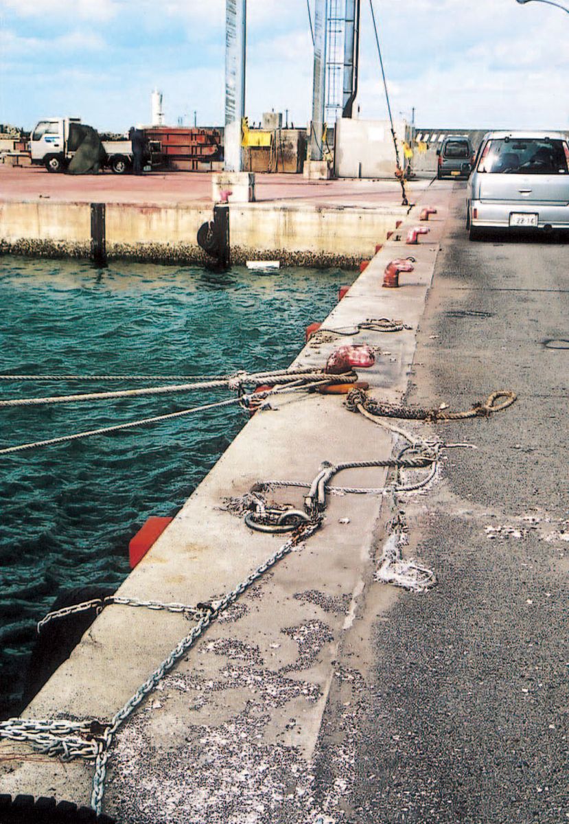 【メーカー在庫あり】 エスコ ESCO 56kg/ 19.0mm リング ステンレス製 000012004587 HD店