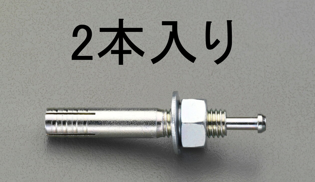 ●ねじサイズ:M20●胴体外径:20.0mm●全長:130mm●ねじ長さ:50mm●下穴径:21.5mm●穿孔深さ:90mm●埋込深さ:80mm●最大荷重(引抜):19830N●最大荷重(せん断):54240N●締付けトルクの目安:200N・m●入数:2本電気亜鉛メッキ本体に挿入された芯棒をハンマーで打込むことにより本体先端が拡張し、コンクリート孔壁に固着します。施工に特殊な工具を必要としません。本体外径がねじサイズと同じなので、他のアンカーの同じねじサイズの製品に比べ細いドリルによる穿孔で工事が楽です。本体外径がねじサイズと同じなので、取付物の上から施工でき、位置ずれの問題が発生しません。コンクリートへの穿孔深さは指定より深くなっても構わないので穿孔管理が楽です。芯棒を本体頂部に接するまで打込むことにより施工の完了が確認できるので、施工管理が容易です。000012242630楽天 HD店