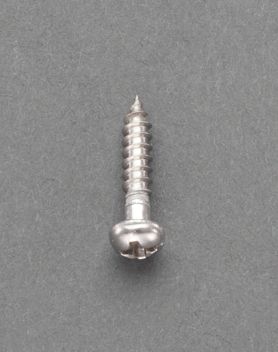 【メーカー在庫あり】 エスコ ESCO M6.2x38mm 鍋頭木ねじ ステンレス製/8本 000012243100 HD
