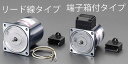 【メーカー在庫あり】 エスコ ESCO AC100V・ 6W インダクションモーター リード線タイプ 000012266260 HD店