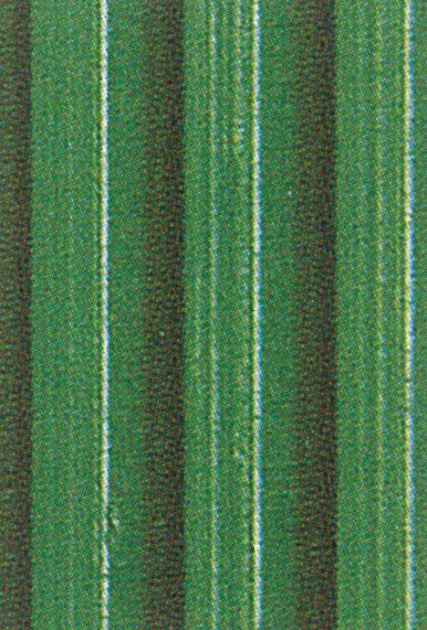 【メーカー在庫あり】 エスコ ESCO 1.0x5.0m/3.0mm ゴムマット 筋入・緑 000012043899 HD店