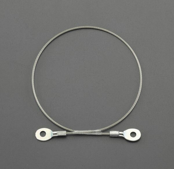 【メーカー在庫あり】 エスコ ESCO φ1.0x450mm ステンレスワイヤー(ビス止め端子付) EA628ST-3 HD店