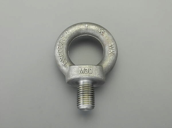 【メーカー在庫あり】 M30x 45mm アイボルト(炭素鋼製) 000012295310 HD店