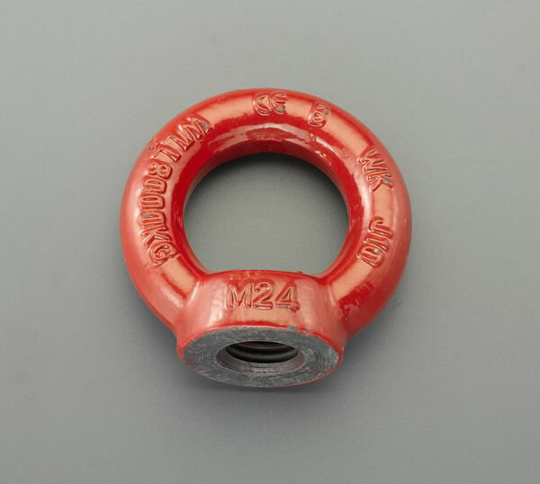 【メーカー在庫あり】 M42 強力型アイナット(スチール製) 000012295328 HD店