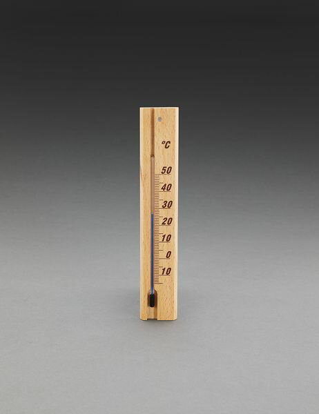 【メーカー在庫あり】 200x35mm 温度計(ナチュラル) EA728G-53 HD店