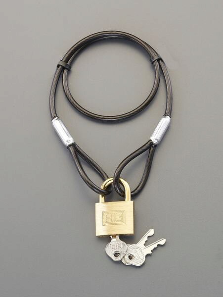 【メーカー在庫あり】 φ4.3x1040mm ワイヤーロック(シリンダー錠 EA983TT-42 HD店