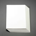 【メーカー在庫あり】 エスコ ESCO A4 クリーンルーム用ペーパー(白/250枚) EA759X-271 HD店(3)