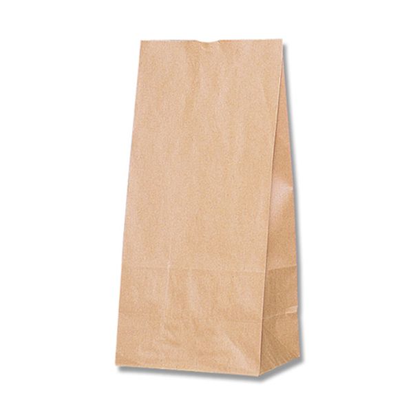 乐天商城 - 【メーカー在庫あり】 エスコ ESCO 195x125x400mm 紙袋(無地/100枚) 000012340793 HD店