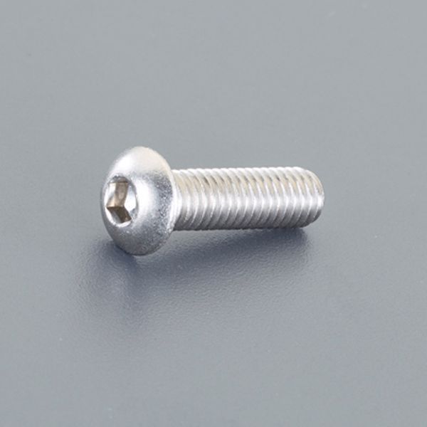 エスコ ESCO M6 x20mm 六角穴付鍋頭ボルト(ステンレス製/2本) 000012342386 HD店