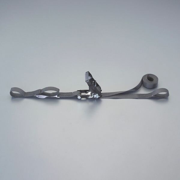 使用荷重：2.5kN(254kg)ベルト長：固定側：0.5m 調整側：3.5mベルト幅：25mmベルト厚み：1.7mm破断荷重：10kN材質：ベルト：ポリエステル バックル：スチール(クロムメッキ)両端アイ型入数：1個000012345396楽天 HD店　