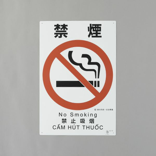 �ڥ᡼�����߸ˤ���� ������ ESCO 450x300mm �����ɰ���ɸ��(�ر�) 000012345657 HDŹ