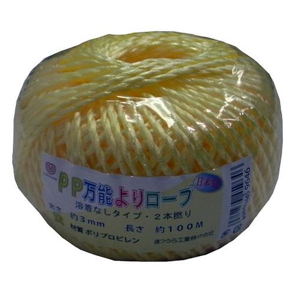 【メーカー在庫あり】 エスコ ESCO 3.0mmx100m PPロープ（溶着なし／黄） EA628PR-...