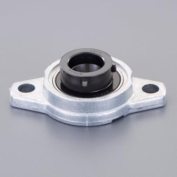 NTN NTN　複列アンギュラ玉軸受 5209SCZZ 1点