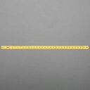 【メーカー在庫あり】 エスコ ESCO 300x13.0mm 直尺 (スチール製) EA720YA-130 HD店